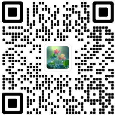 乡音杂志模板